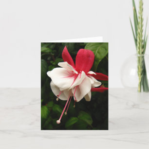 Fuschia Blossom Notecard Karte