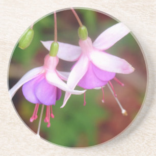 Fuschia Blume Getränkeuntersetzer