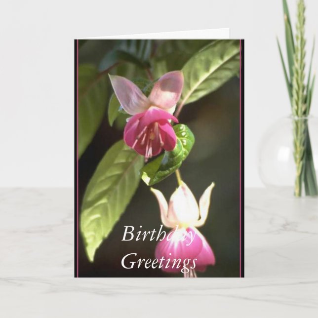 Fuschia,    Geburtstags-Grüße Karte (Vorderseite)