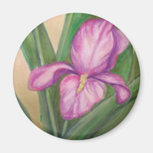 Fuschia Irismagnet Magnet