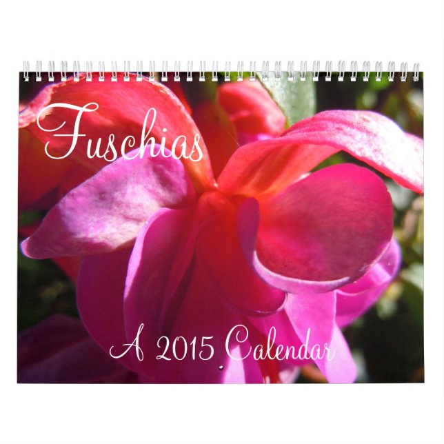Fuschias 2015 II Kalender (Titelbild)