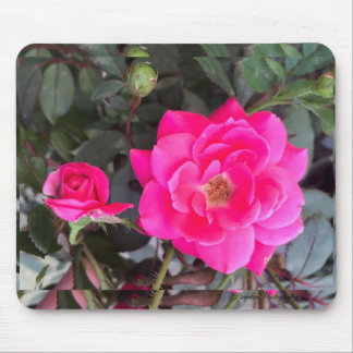 Fuscia Rose Mouse Pad Mousepad