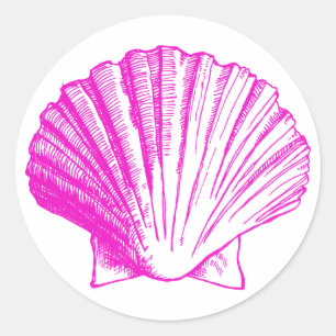 Fuscia Sea Muschel Sticker