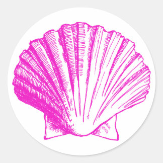 Fuscia Sea Muschel Sticker