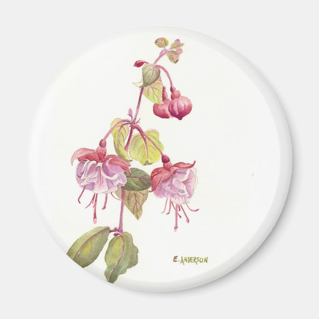 Fushia Aquarell Blume rot und rosa Magnet (Vorne)