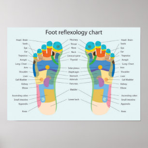 Fuß-Reflexzonenmassage-Diagramm Poster