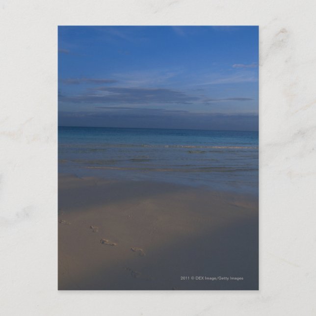 Fußabdrücke am Strand Postkarte (Vorderseite)