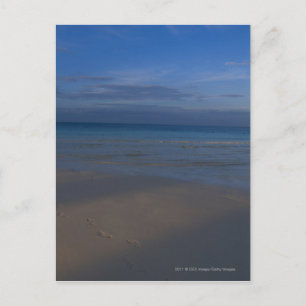 Fußabdrücke am Strand Postkarte