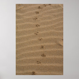 Fußabdrücke im Sand Poster