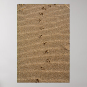 Fußabdrücke im Sand Poster