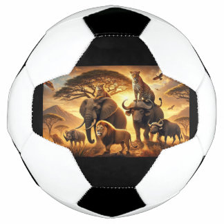 Fußball