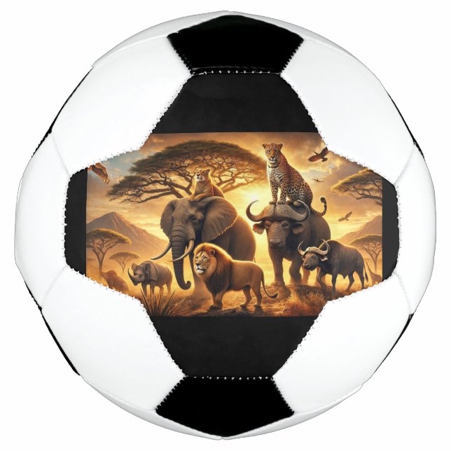 Fußball (Vorderseite)