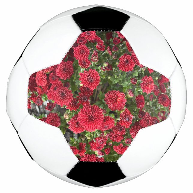 Fußball (Vorderseite)