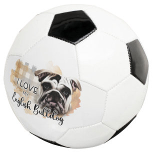 Fußball