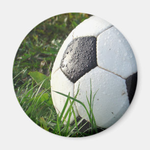 Fußball~ Fußball im Feld Magnet