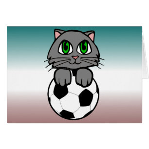 Fußball-Kätzchen