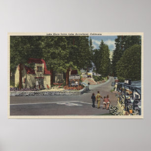 Fußgänger am Lake Shore Drive Poster