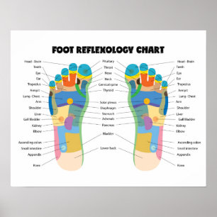Fußreflexologie Diagramm 20" x 16" (Matte) Poster