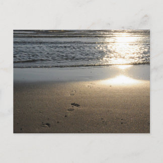 Fußspuren am Sandstrand Postkarte