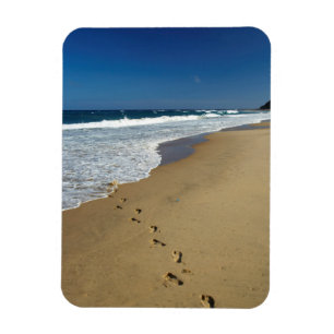 Fußspuren am Strand, Mabibi, Thongaland Magnet