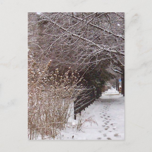Fußspuren im Schnee. Postkarte (Vorderseite)