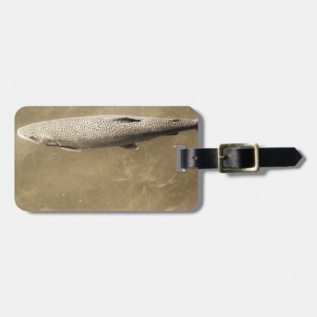 Fußstapfen Gepäckanhänger (Vorderseite horizontal)