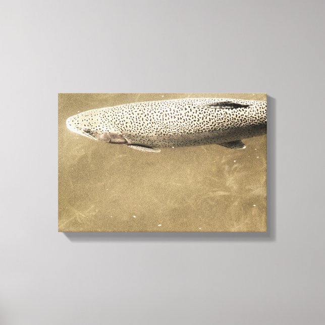 Fußstapfen Leinwanddruck (Vorderseite)