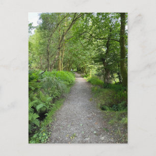 Fußweg durch den Wald auf der Isle of Bute, Schott Feiertagspostkarte