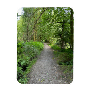 Fußweg durch Wälder auf der Insel Bute Scotland Magnet