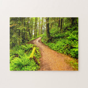 Fußweg in Forest Park Puzzle