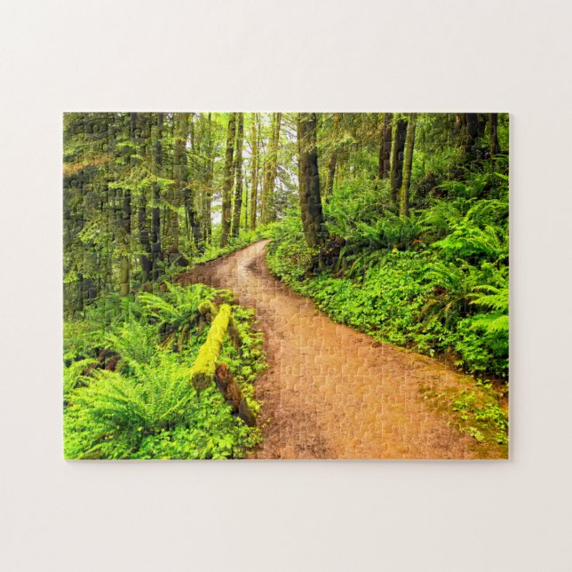 Fußweg in Forest Park Puzzle (Horizontal)