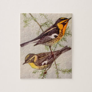 Futes Blackburnian Warbler Bird Painting Jigsaw Puzzle