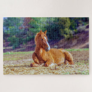 Futterfohlen Puzzle