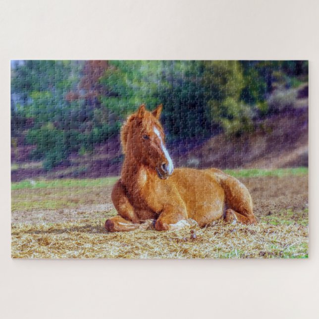 Futterfohlen Puzzle (Horizontal)