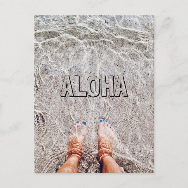 FUTTERMITTEL IN DER OZEANKARTE POSTKARTE (Vorderseite)