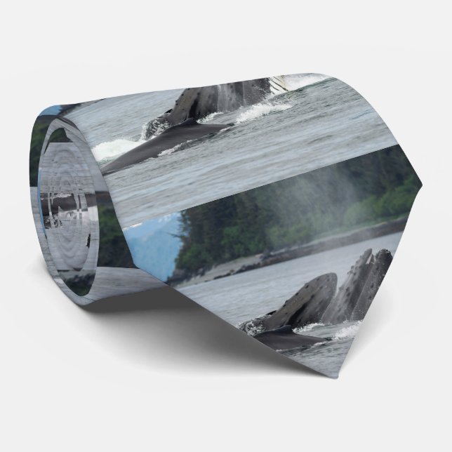 Füttern der Buckel-Wale Krawatte (Gerollt)