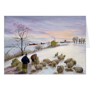 Füttern der Schafe im Winter