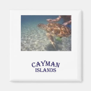 Füttern einer Schildkröte Magnet