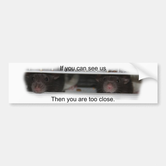 Füttern Sie mir Rattie Autoaufkleber (Vorne)