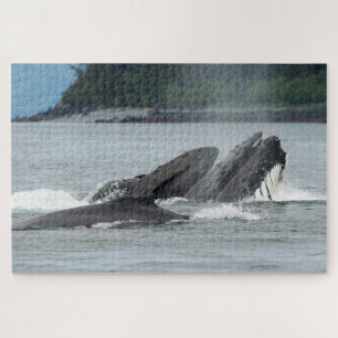 Füttern von Buckelwalen Puzzle