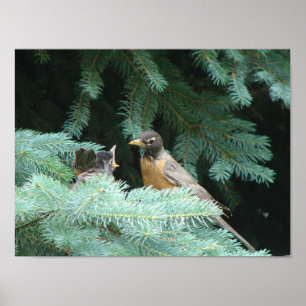 Fütternd Baby Poster