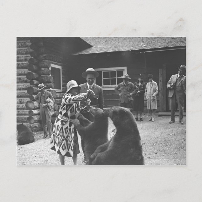 Fütternd Bären. Postkarte (Vorderseite)