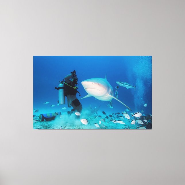 Fütternd Bulle Leinwanddruck (Vorderseite)