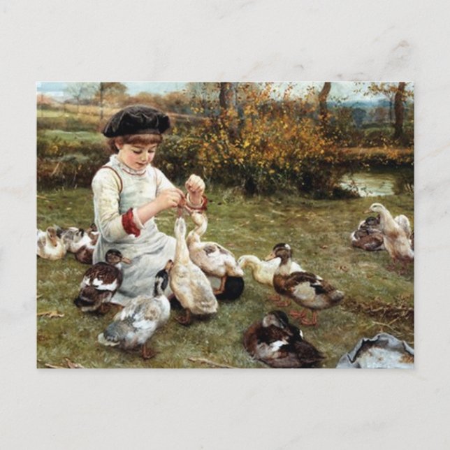 Fütternd Ducks Postkarte (Vorderseite)