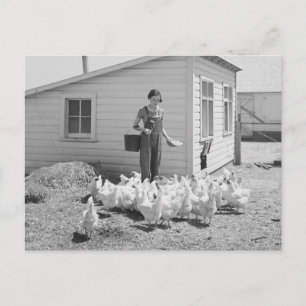 Fütternd Hühner, 1936 Postkarte