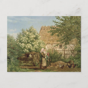 Fütternd Hühner Postkarte