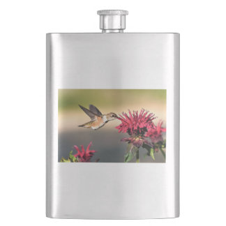 Fütternd Hummingvogel-Blume Flachmann