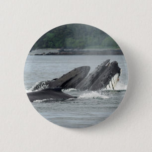 Fütternd Humpbackwale Button
