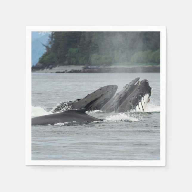 Fütternd Humpbackwale Serviette (Vorderseite)