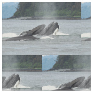 Fütternd Humpbackwale Stoff